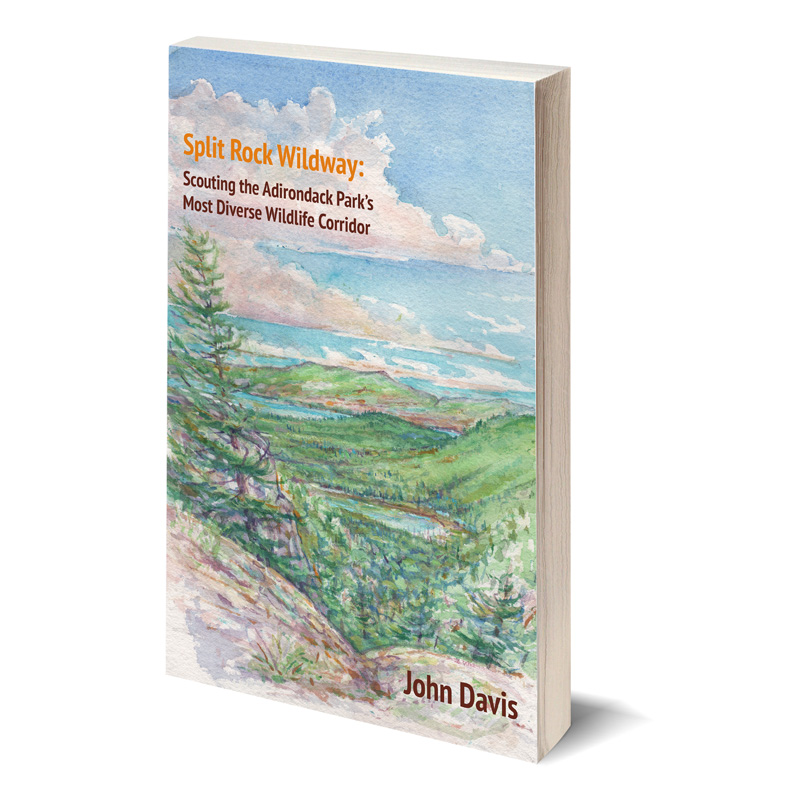 Split Rock Wildway by John Davis